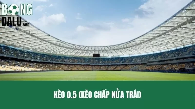 Kèo 0.5 – Kinh Nghiệm Bỏ Vốn Đầu Tư Thắng Lớn Hốt Bạc Tỷ